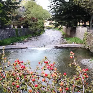 Els Verns Ribes De Freser